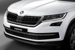 Skoda Kodiaq 2016 года (WW)